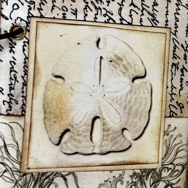 Sanddetail Journal